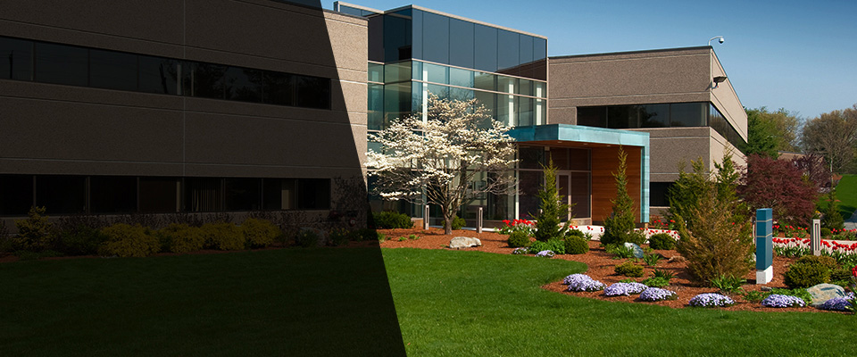 Charlotte Hall Landscapers