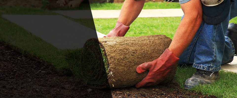 Charlotte Hall Landscapers